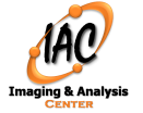 IAC Logo